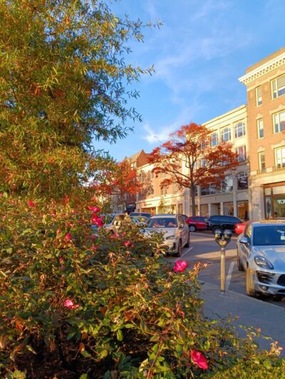 Greenwich Common - Greenwich, CT