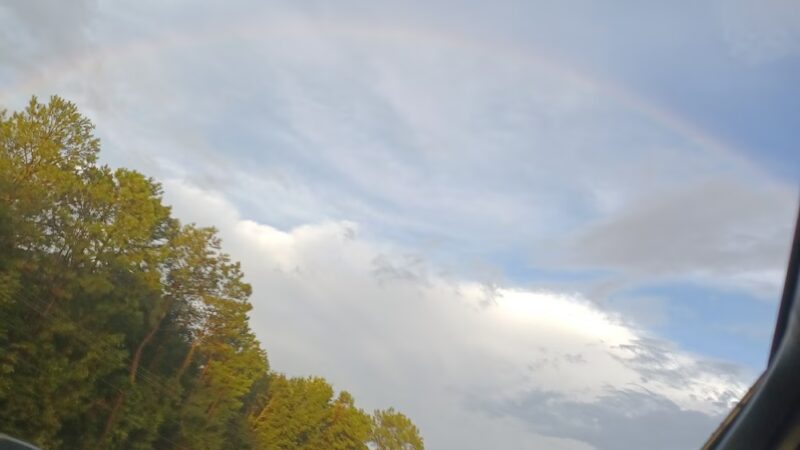 Magnolia Park - Greenwood, SC