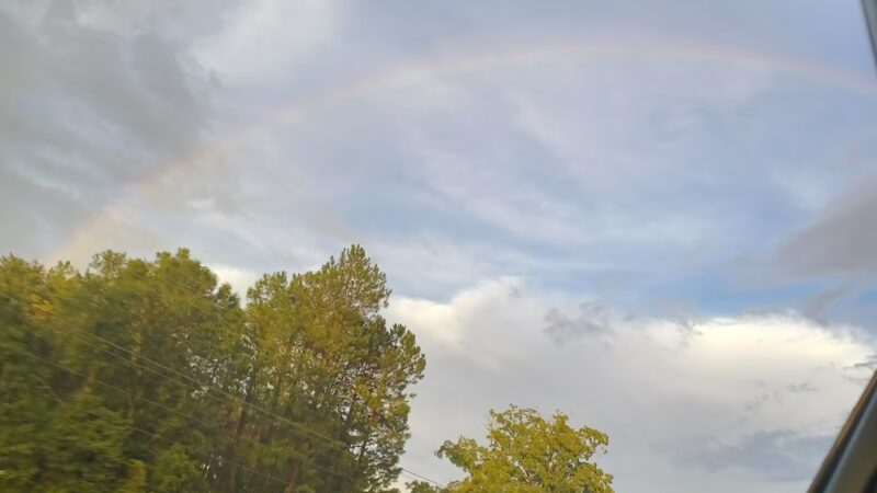 Magnolia Park - Greenwood, SC