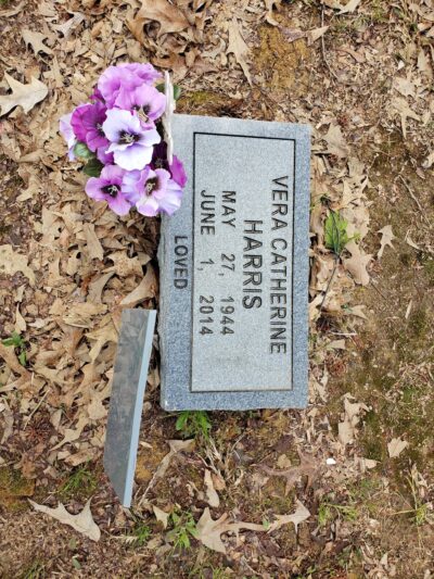 Griffithville City Park - Griffithville, AR