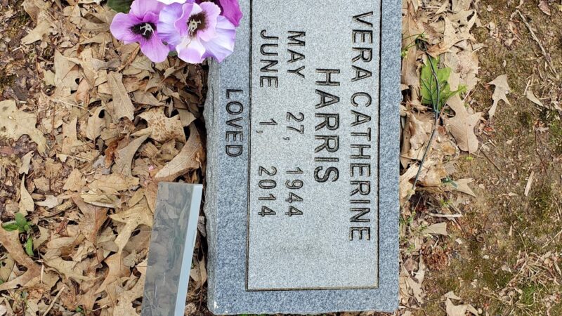 Griffithville City Park - Griffithville, AR