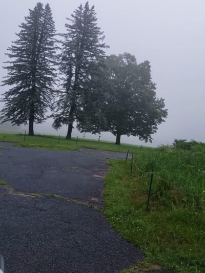 General Field Conservation Area - Groton, MA