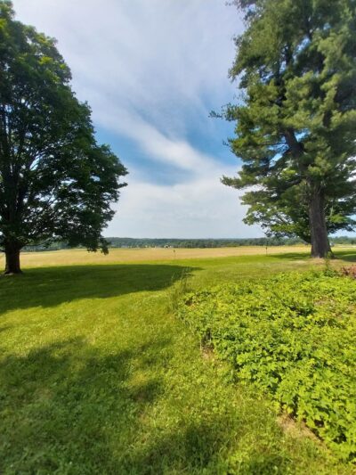 General Field Conservation Area - Groton, MA