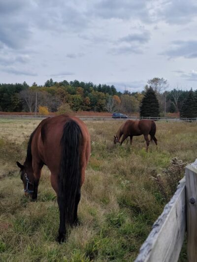 General Field Conservation Area - Groton, MA