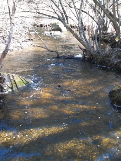 Nashua River Rail Trail - Smith St. Access - Groton, MA