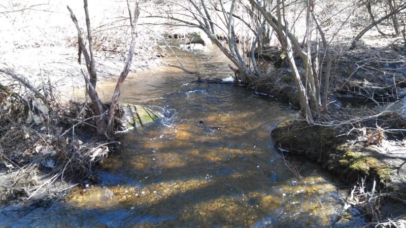 Nashua River Rail Trail - Smith St. Access - Groton, MA
