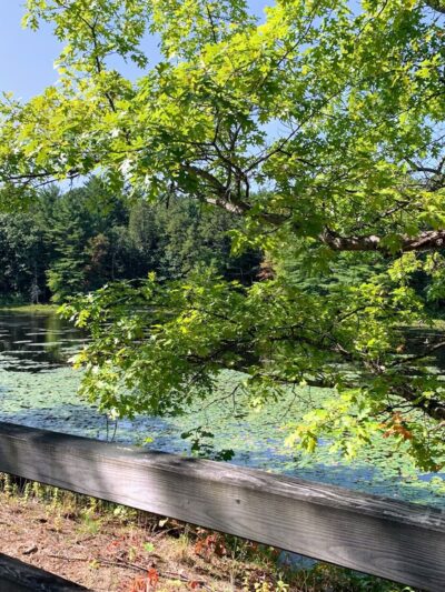 Nashua River Rail Trail - Smith St. Access - Groton, MA