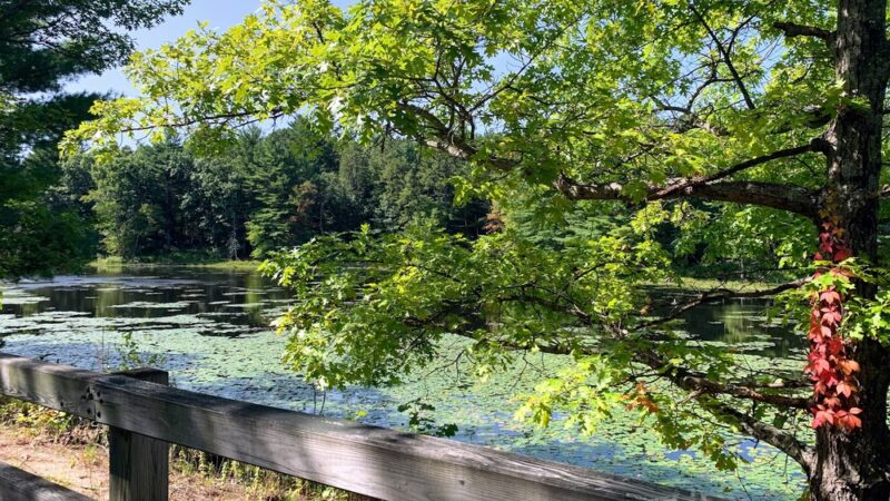 Nashua River Rail Trail - Smith St. Access - Groton, MA