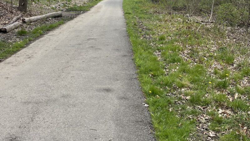 Nashua River Rail Trail - Smith St. Access - Groton, MA