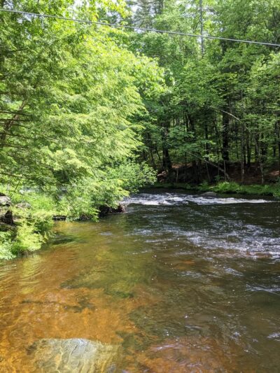 Squannacook Wildlife Management - Groton, MA