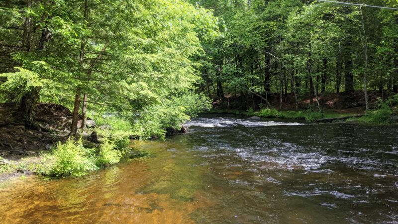 Squannacook Wildlife Management - Groton, MA