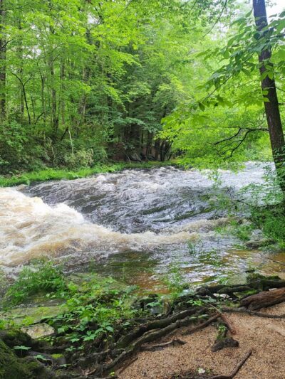 Squannacook Wildlife Management - Groton, MA