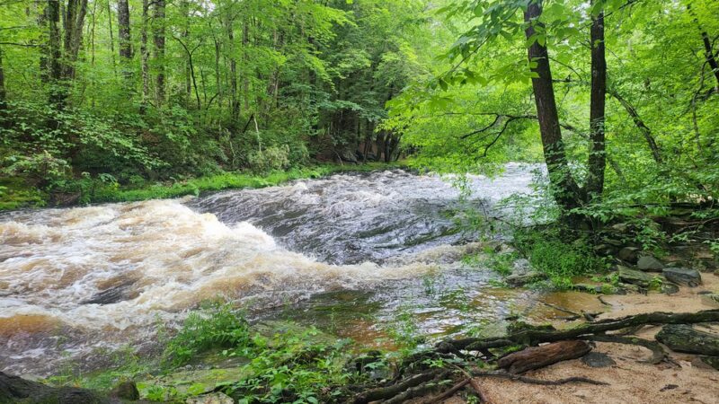 Squannacook Wildlife Management - Groton, MA