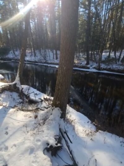 Squannacook Wildlife Management - Groton, MA