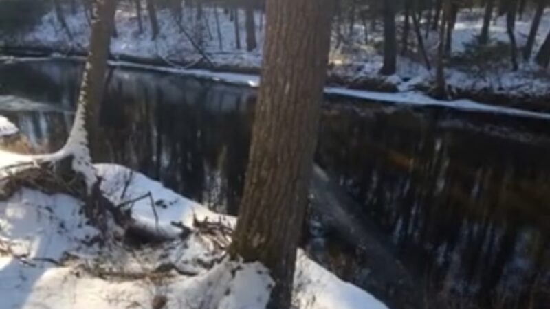 Squannacook Wildlife Management - Groton, MA