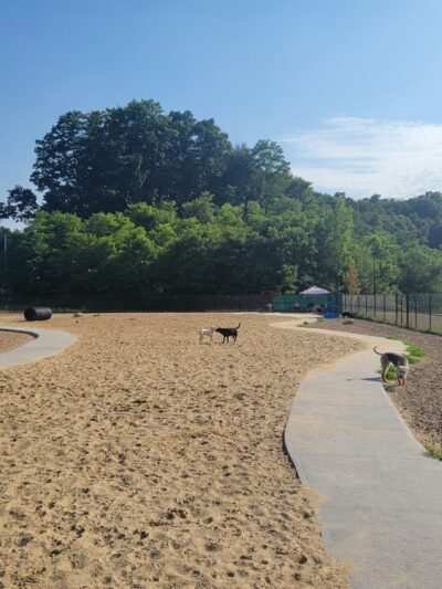 Pines Recreation Area - Groveland, MA