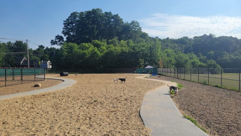 Pines Recreation Area - Groveland, MA