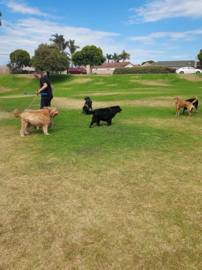 Costa Bella Park - Grover Beach, CA