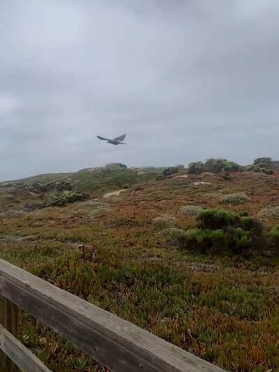 Meadow Creek Trailhead - Grover Beach, CA