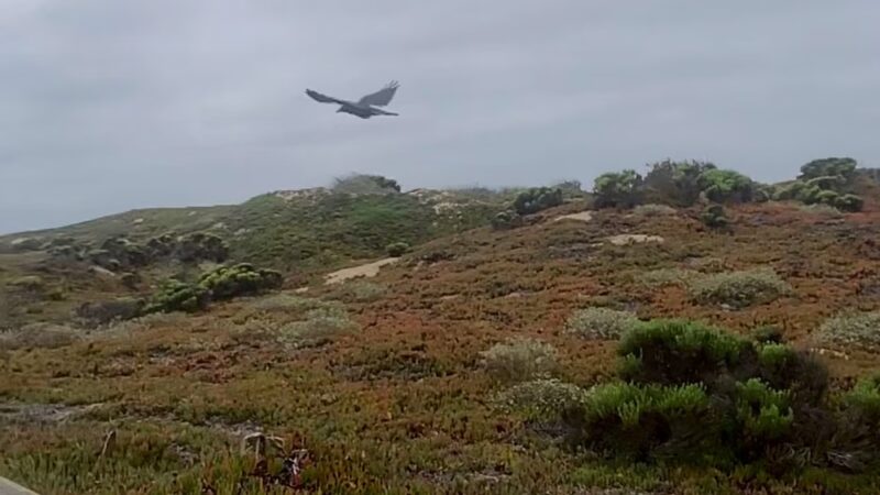 Meadow Creek Trailhead - Grover Beach, CA