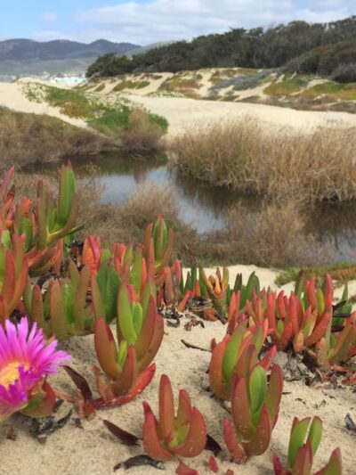 Meadow Creek Trailhead - Grover Beach, CA