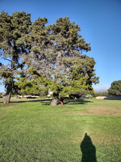 Sixteenth Street Park - Grover Beach, CA