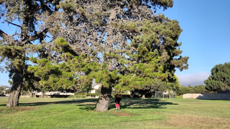Sixteenth Street Park - Grover Beach, CA