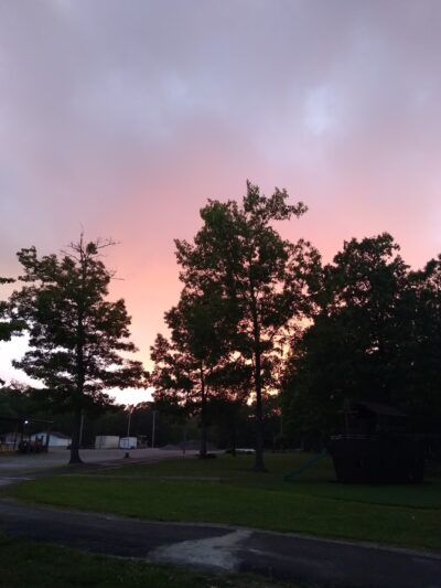 Gruetli Laager Recreation Park - Gruetli-Laager, TN
