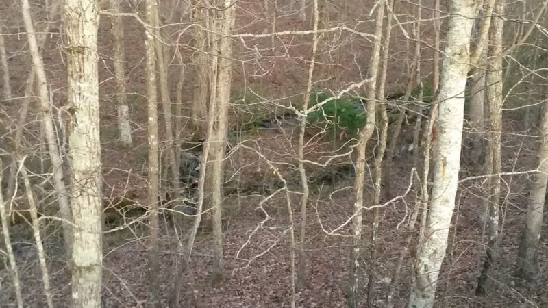 Gruetli Laager Recreation Park - Gruetli-Laager, TN