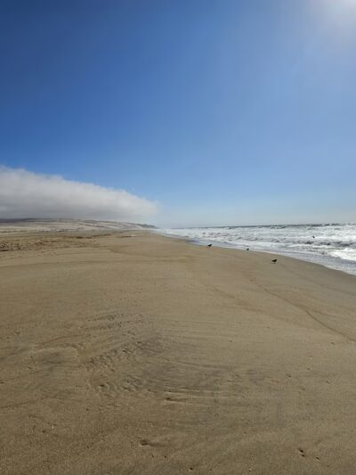 Rancho Guadalupe Dunes Preserve - Guadalupe, CA