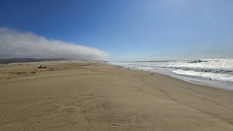 Rancho Guadalupe Dunes Preserve - Guadalupe, CA