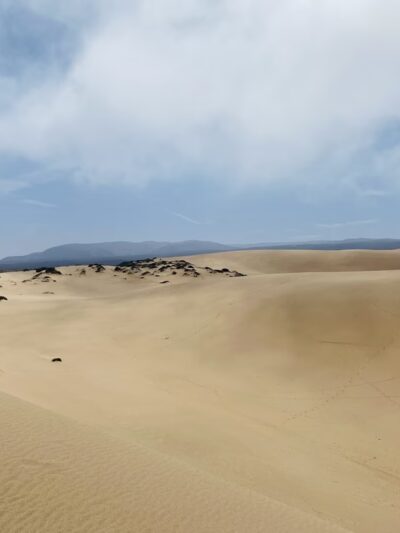 Rancho Guadalupe Dunes Preserve - Guadalupe, CA