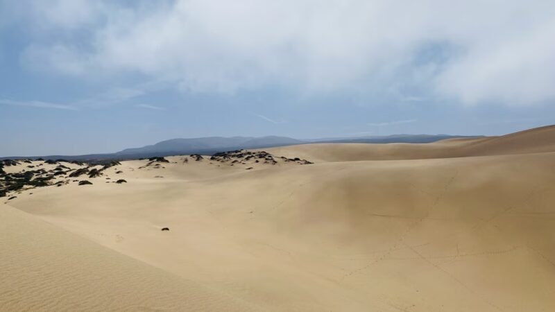 Rancho Guadalupe Dunes Preserve - Guadalupe, CA