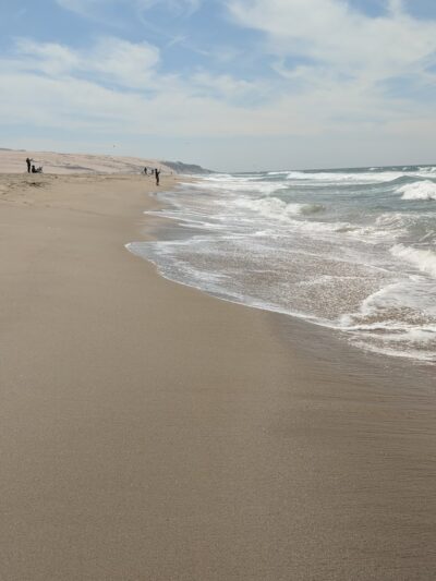 Rancho Guadalupe Dunes Preserve - Guadalupe, CA