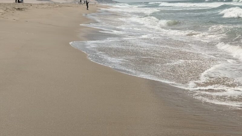 Rancho Guadalupe Dunes Preserve - Guadalupe, CA