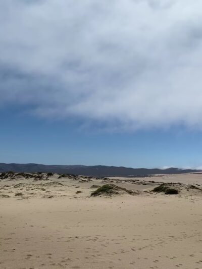 Rancho Guadalupe Dunes Preserve - Guadalupe, CA
