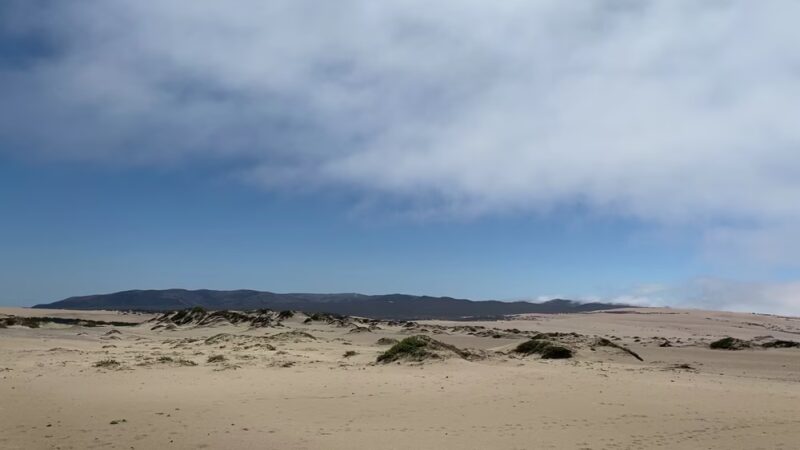Rancho Guadalupe Dunes Preserve - Guadalupe, CA