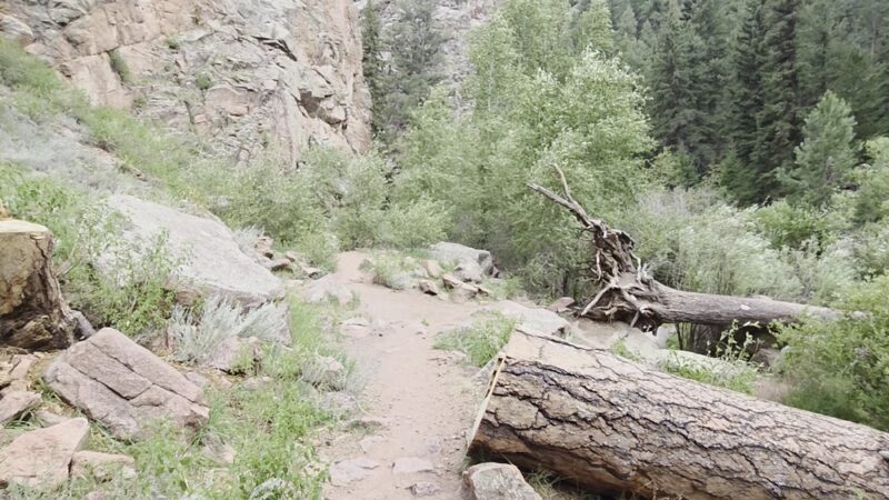 Paradise Cove / Guffey Gorge - Guffey, CO