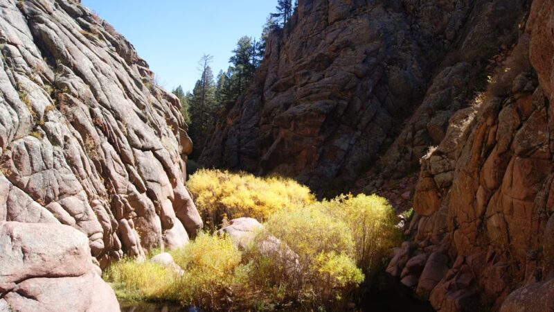 Paradise Cove / Guffey Gorge - Guffey, CO