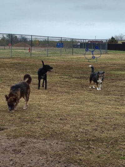 Gun Barrel City Park - Gun Barrel City, TX
