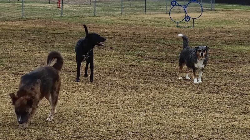 Gun Barrel City Park - Gun Barrel City, TX