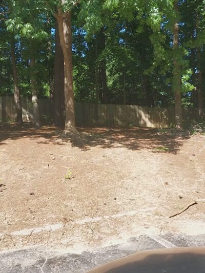 Dog park alanta - Gwinnett Village, GA
