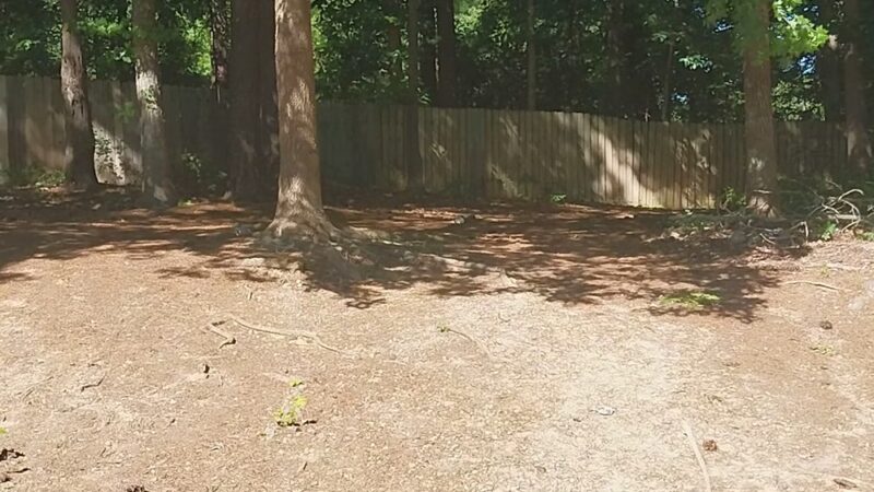 Dog park alanta - Gwinnett Village, GA
