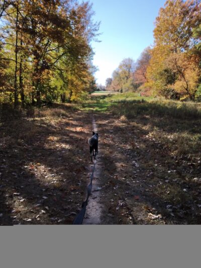 Green Ribbon Trail (Plymouth Rd Trailhead) - Gwynedd Valley, PA