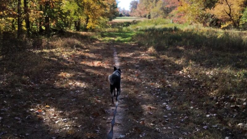 Green Ribbon Trail (Plymouth Rd Trailhead) - Gwynedd Valley, PA