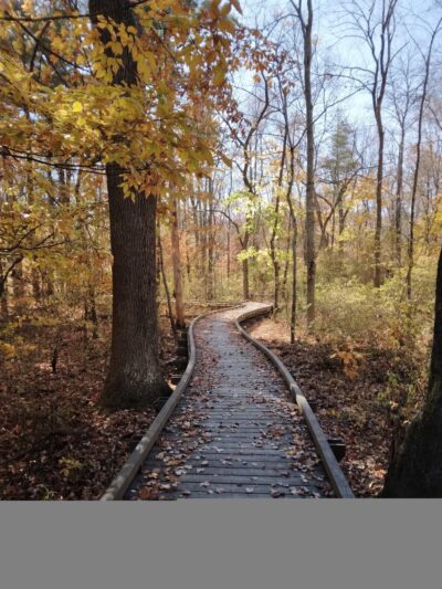 Green Ribbon Trail (Plymouth Rd Trailhead) - Gwynedd Valley, PA