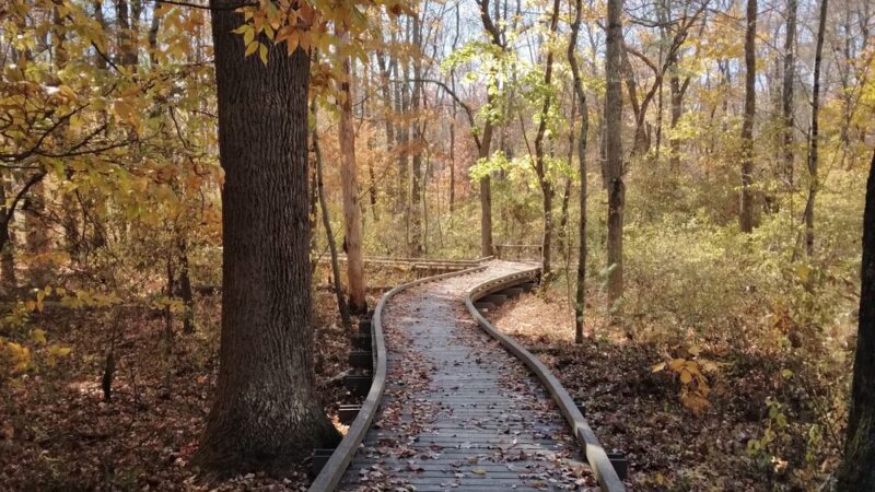 Green Ribbon Trail (Plymouth Rd Trailhead) - Gwynedd Valley, PA