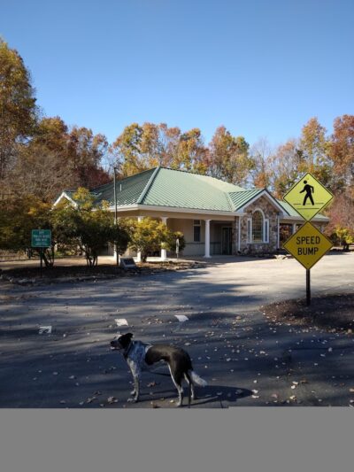 Green Ribbon Trail (Plymouth Rd Trailhead) - Gwynedd Valley, PA