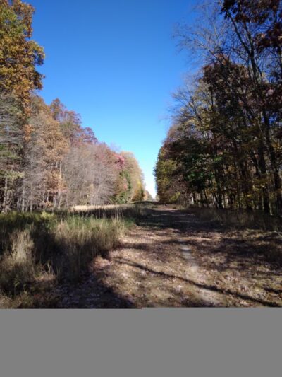 Green Ribbon Trail (Plymouth Rd Trailhead) - Gwynedd Valley, PA