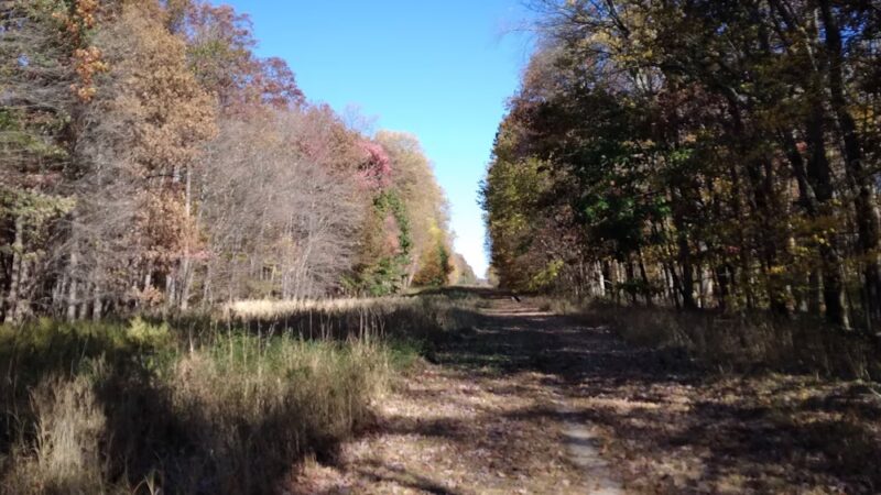 Green Ribbon Trail (Plymouth Rd Trailhead) - Gwynedd Valley, PA